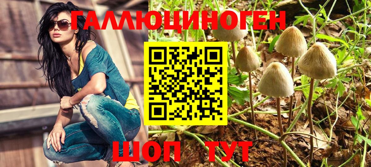 Галлюциногенные грибы Cubensis  Вход с VPN  Шадринск 
